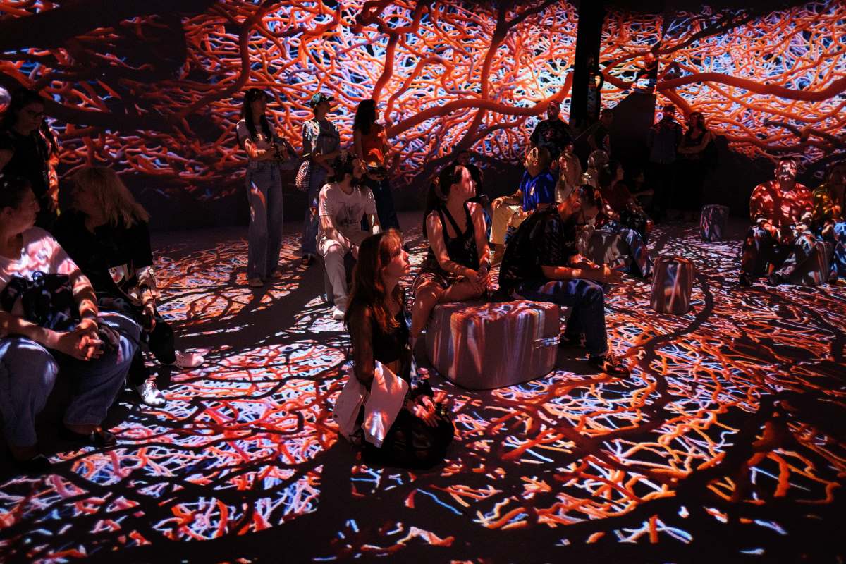 С три авторски изложби и интерактивна холограмна AI инсталация отвори врати най-новото имерсивно пространство в София – VIDENIE